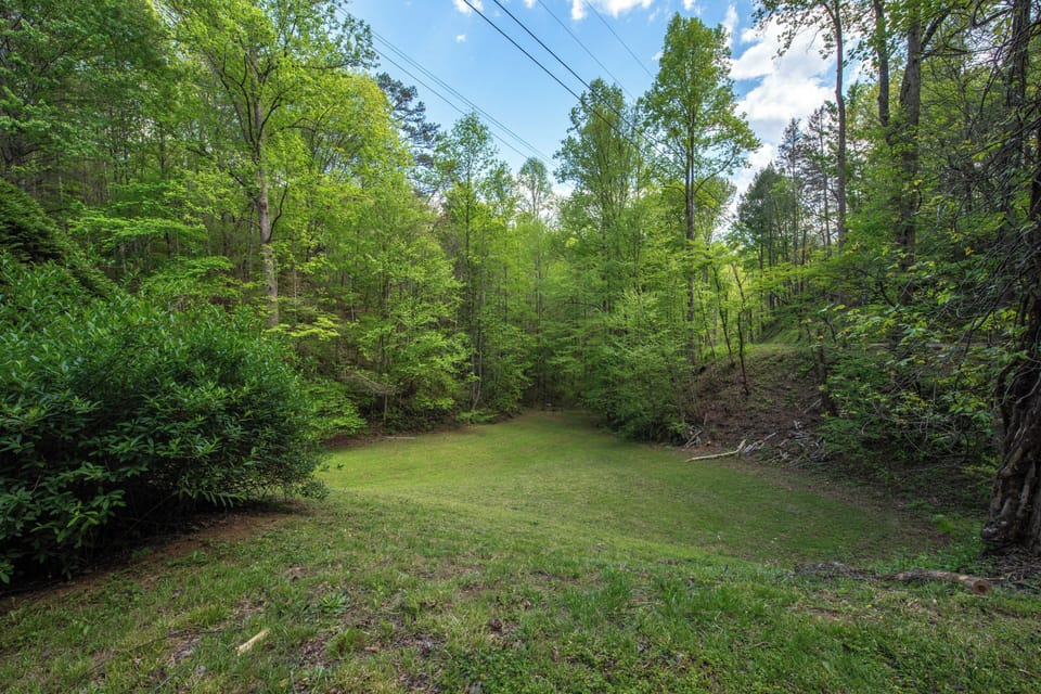 Peaceful wooded clearing surrounded by lush green forest, offering a tranquil natural setting for the property.