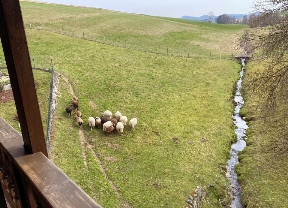 View from property
