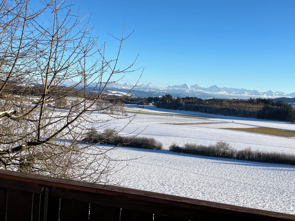 View from property