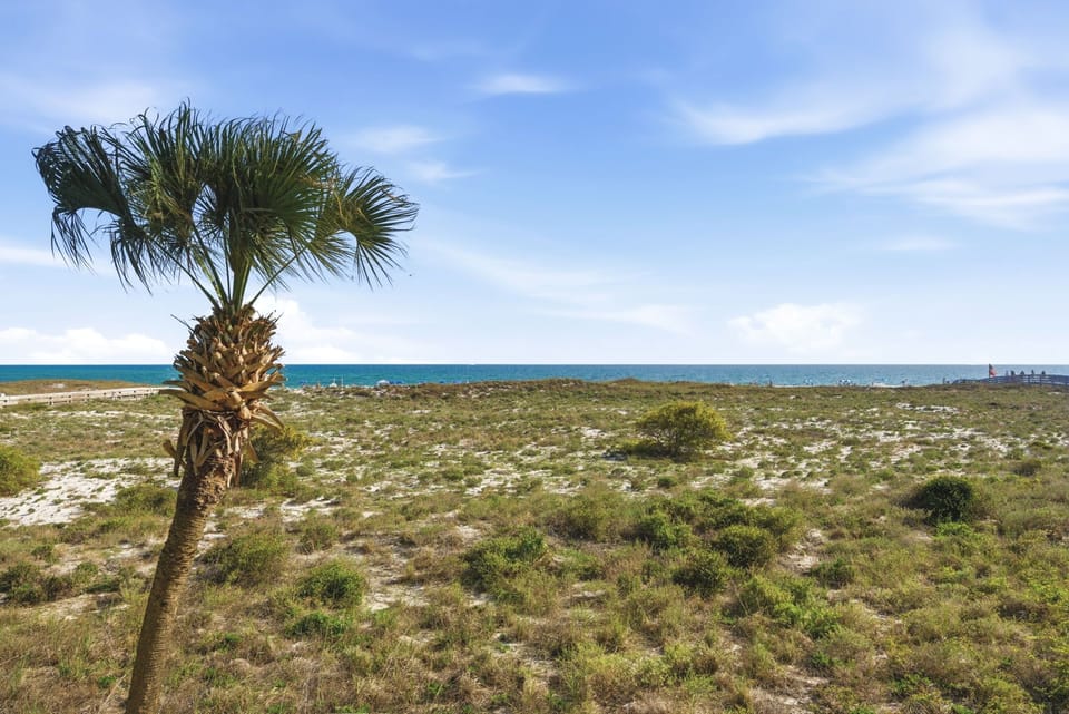 Direct Gulf Views
