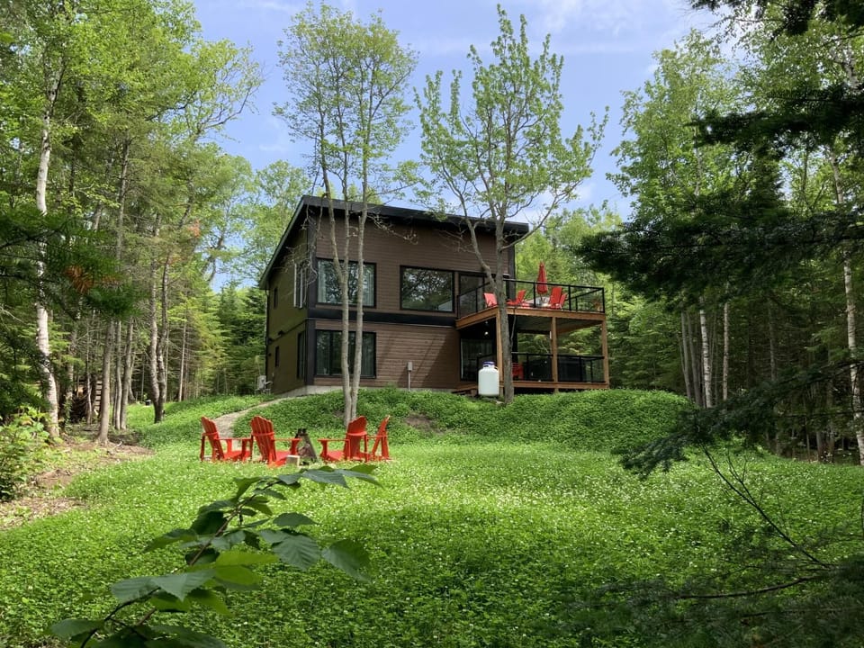 Where playtime meets relaxation under the trees.