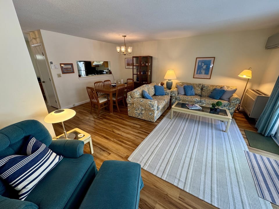 Living Room Area