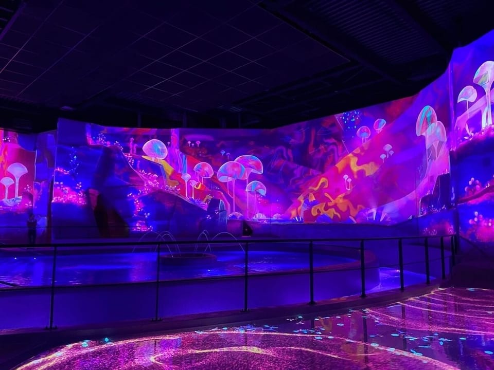 Aquascope - 5.6 miles away from the property