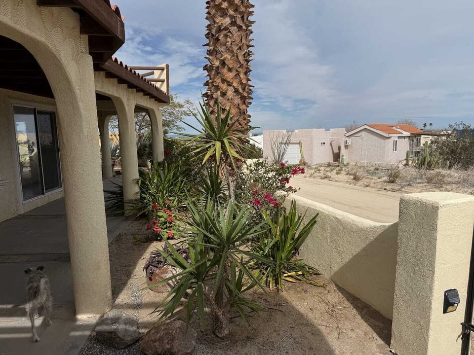Stu Casa Playa de Oro San Felipe Baja California - garden view
