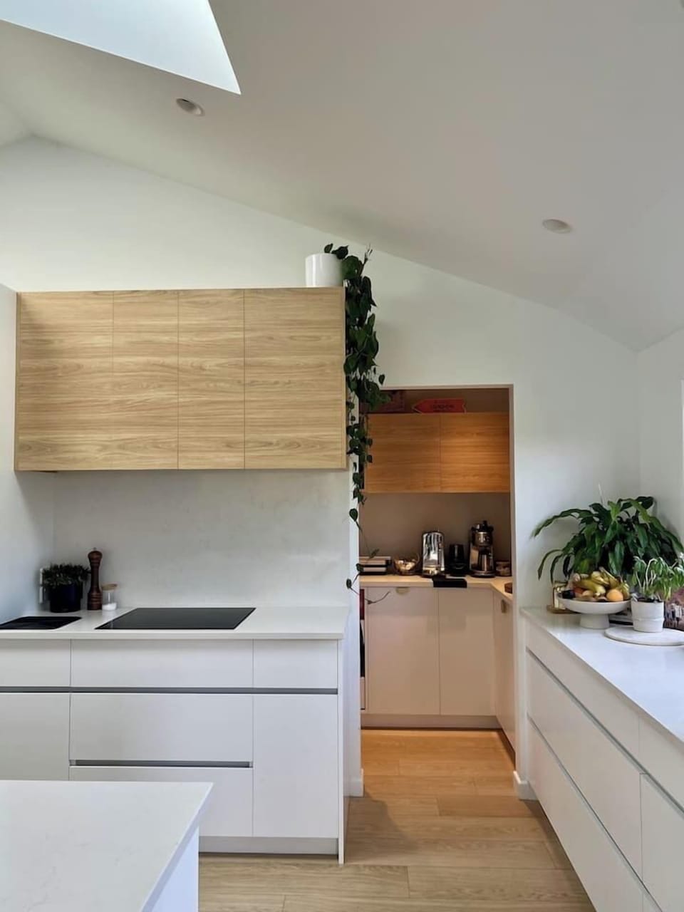 Full kitchen with walk-in pantry