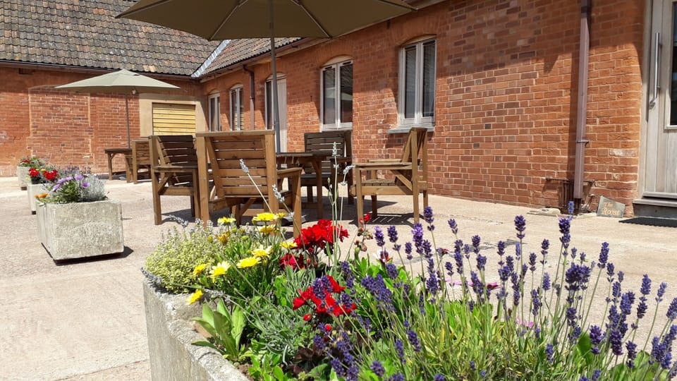 Summer at Courtbrook