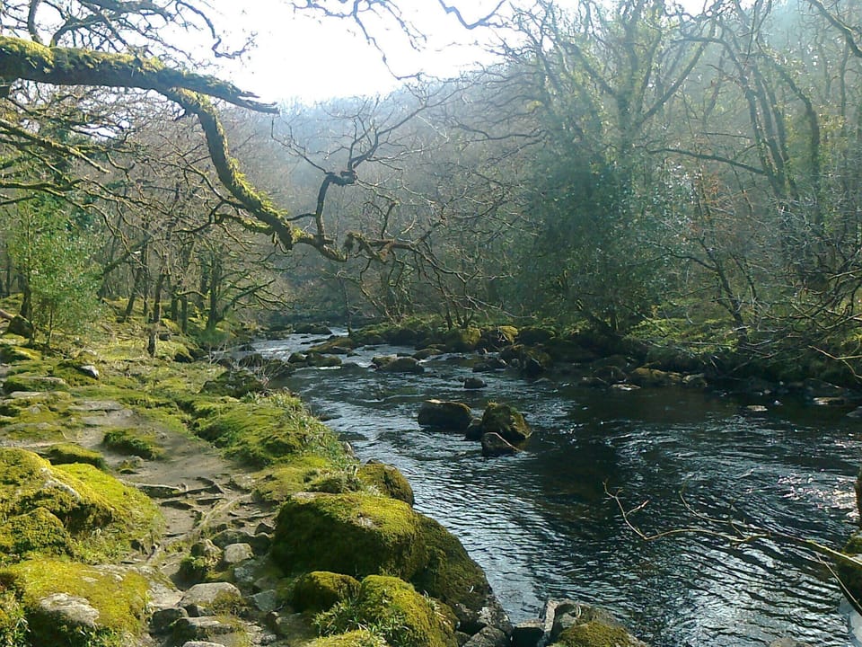 River on Dartmoor