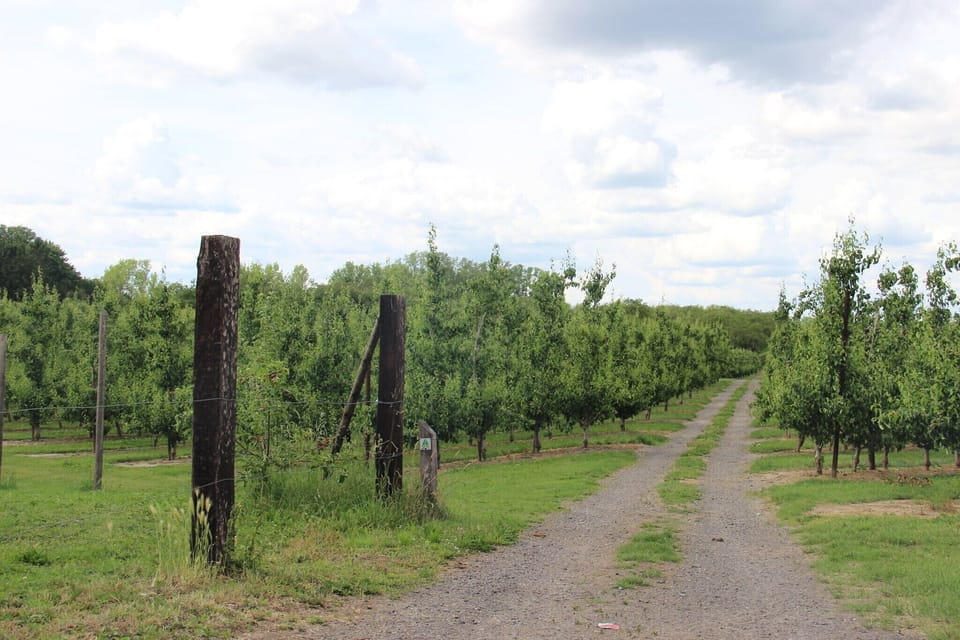 Immediate Surroundings [summer] (<1 km)