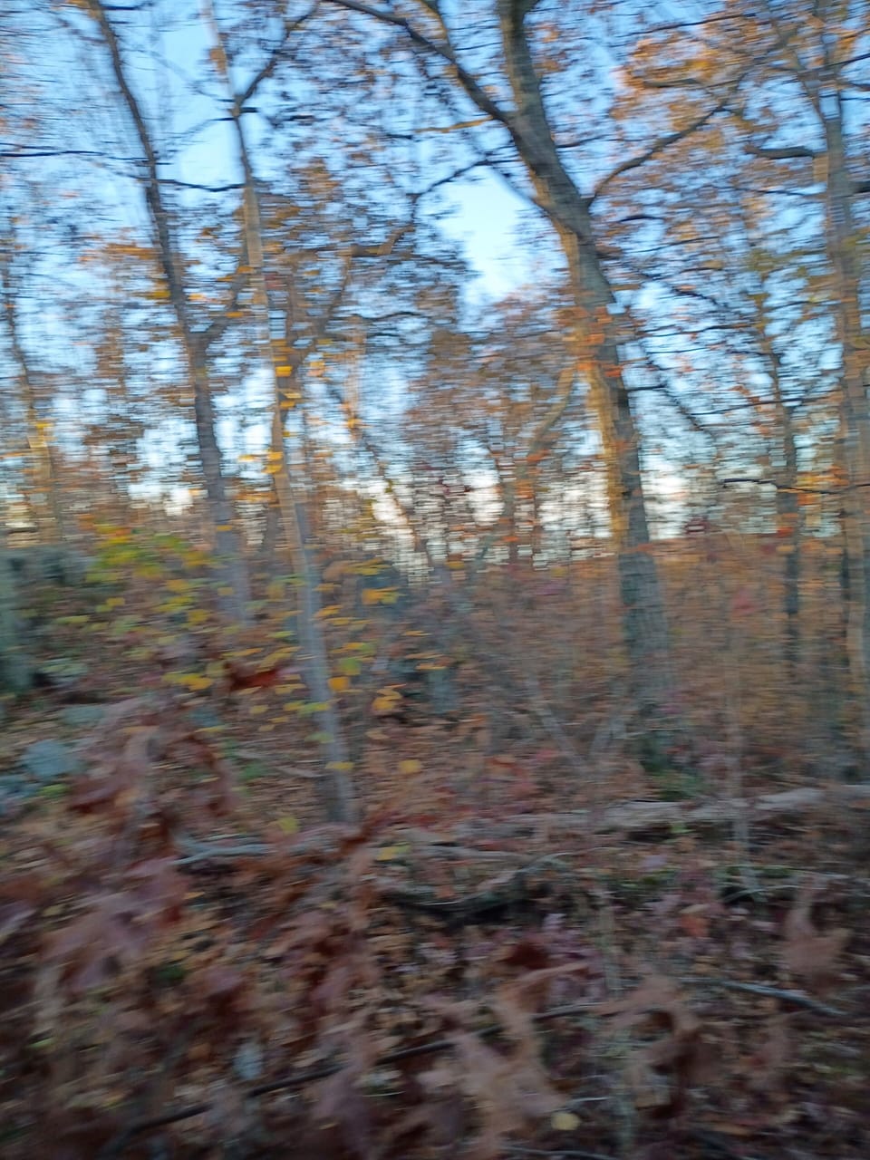 Miscellaneous