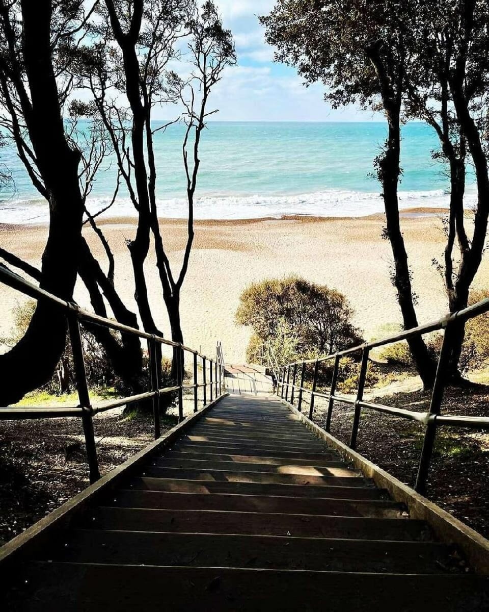 Shorefield Country Park - 10821