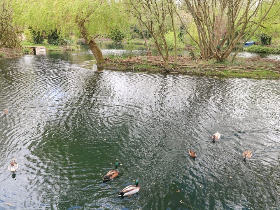 Kingfisher Lodge