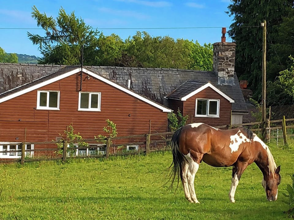 Bryn Y Garreg Cottage - The Wireless Free Farm