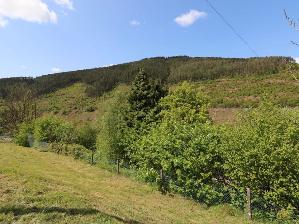 Afan House