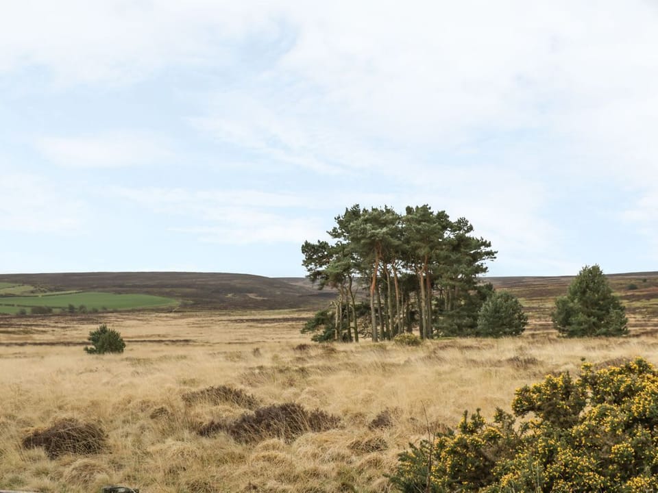 The Calf House