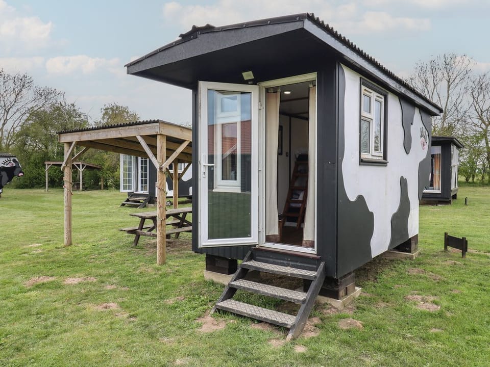 Bluebelle (Cow Shed 5)