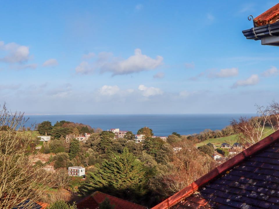 Flat 3 Channel View