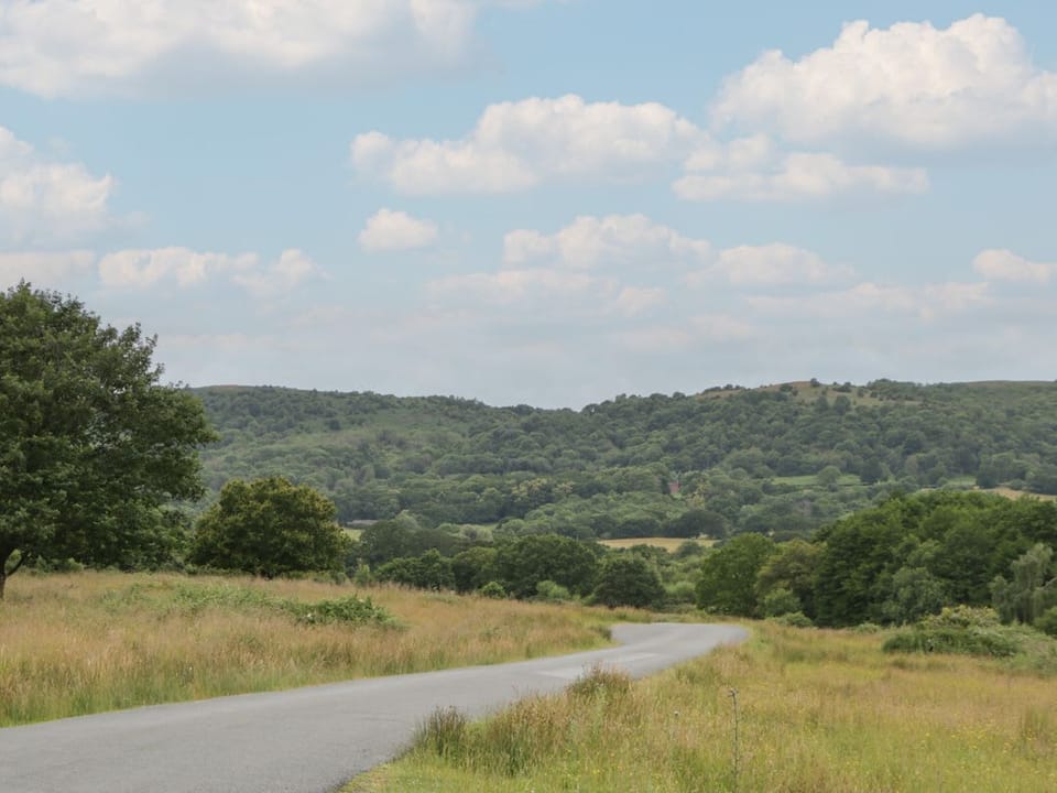 The Turbles - Swallows Nest