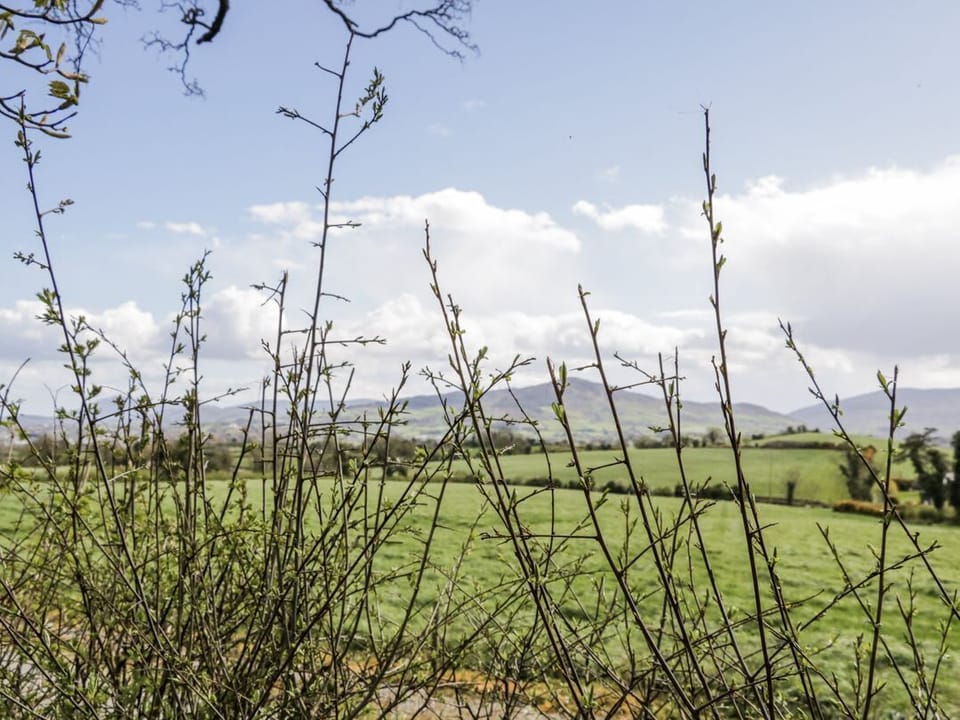 Derrywilligan