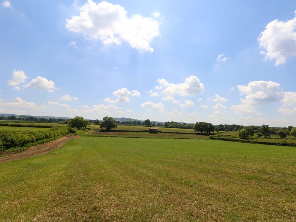 Frogwell