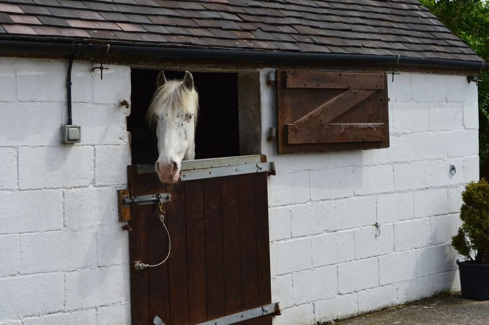 Curlew Barn