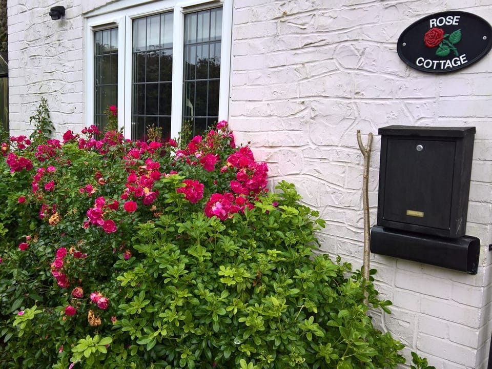 Rose Cottage