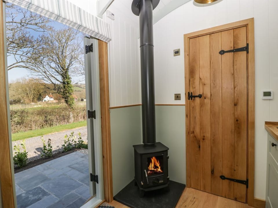Acorn