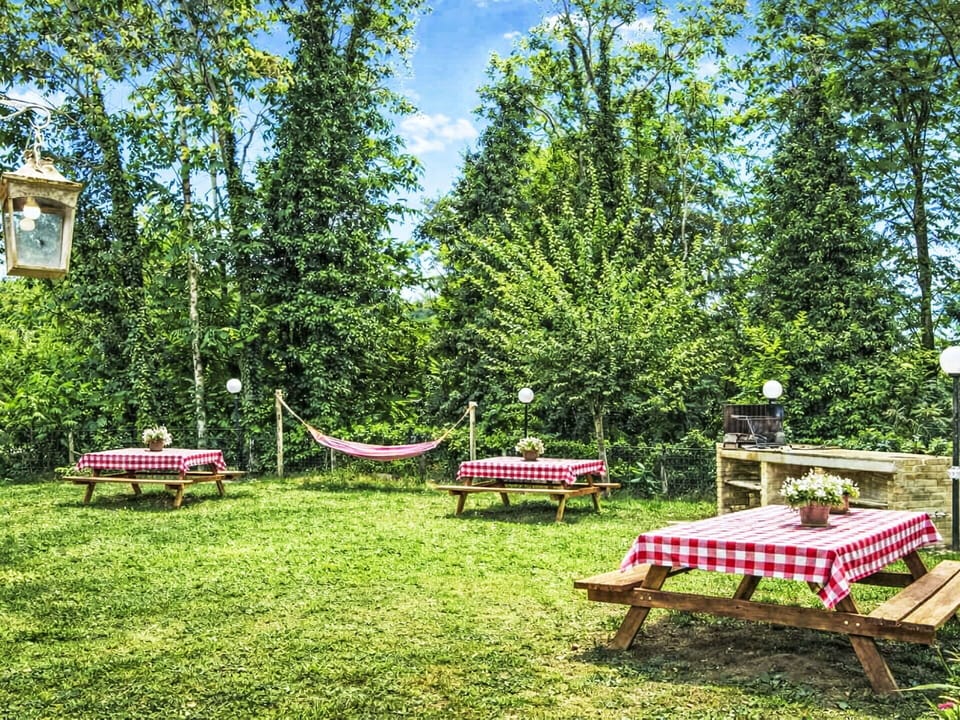 Furniture, Garden, Outdoor Furniture, Lawn, Outdoor Table, Park, Yard, Backyard, Chair, Shade