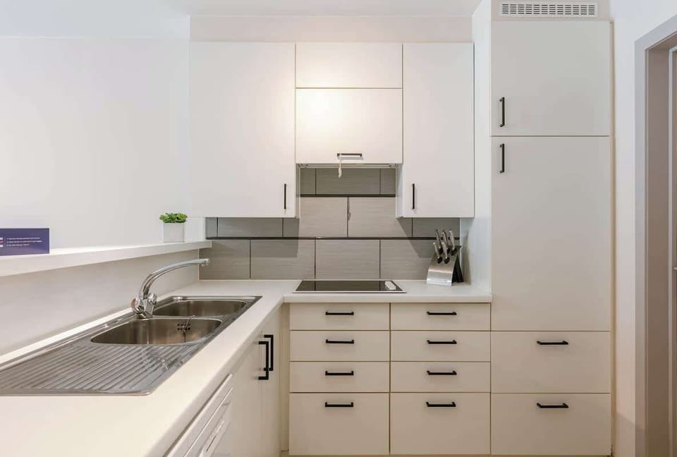 Clean Kitchen with Double Sink and Cabinets