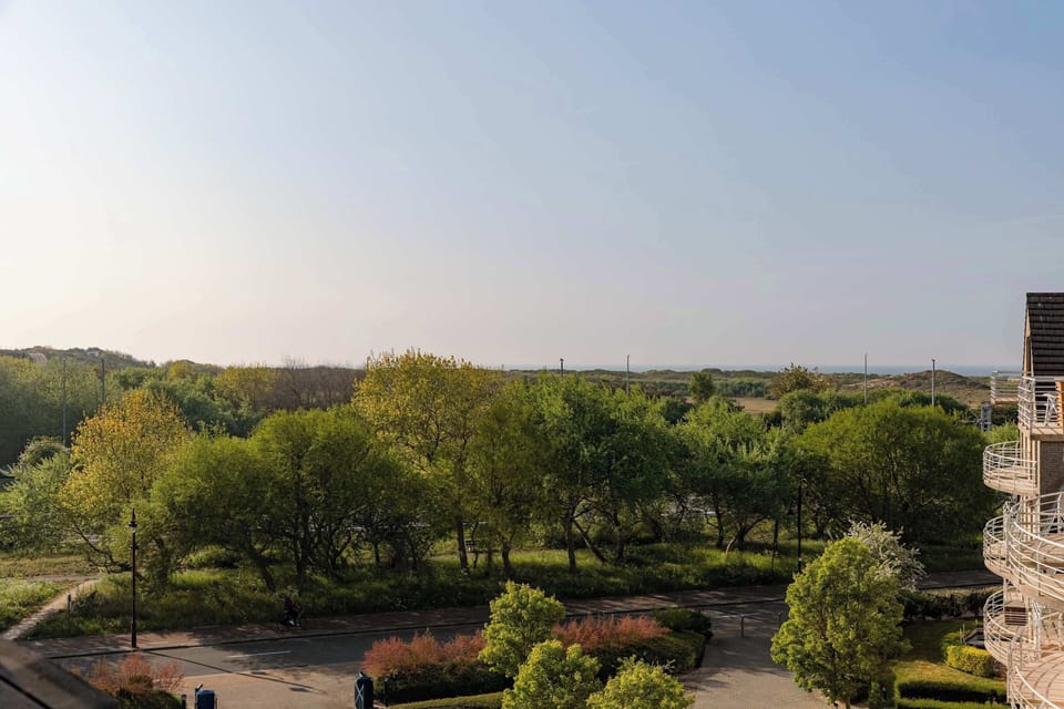 Quiet view over green surroundings 🌳

