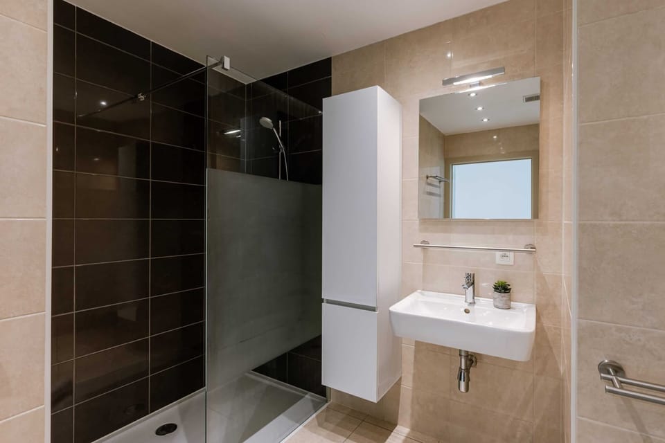 Modern bathroom featuring a walk-in shower with dark tiles and a sleek white sink.