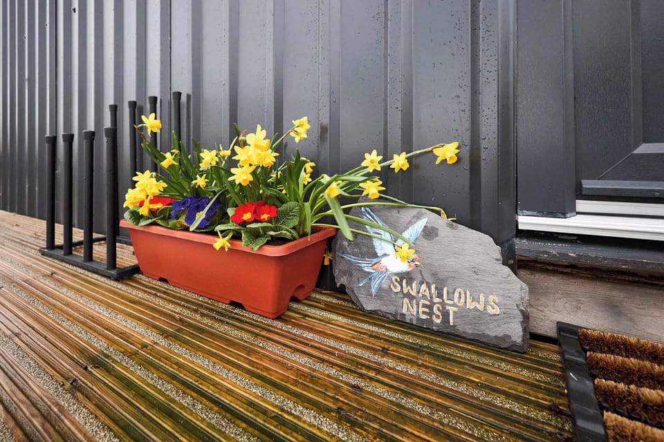 Swallows Nest, Thornley- Host & Stay