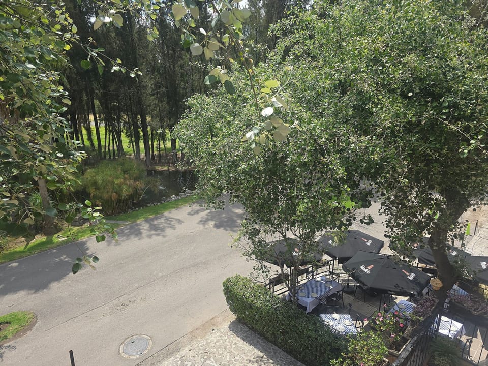 View(from property / room)