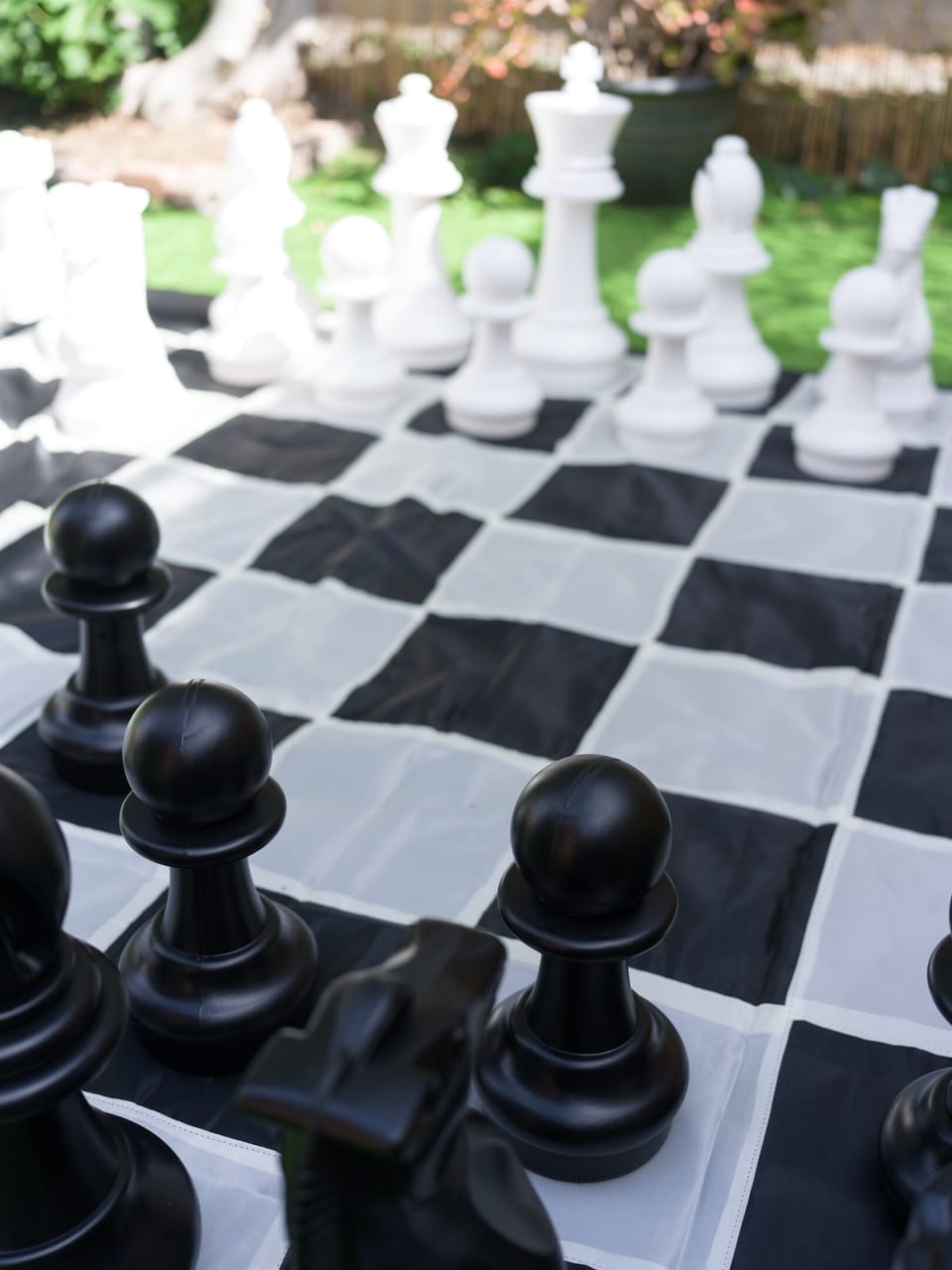 Lifesize chess game