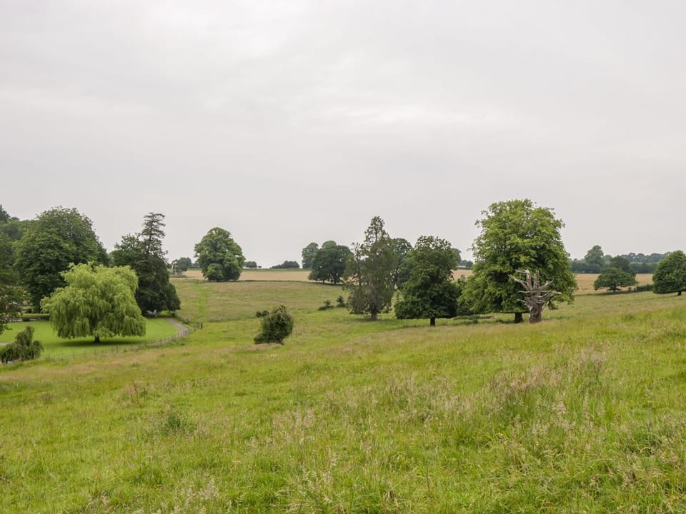 The Milking Barn