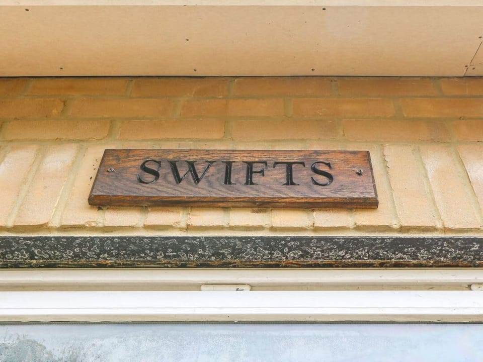 Swifts