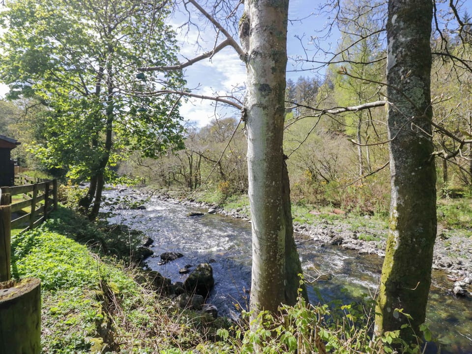 Beech Timber Lodge