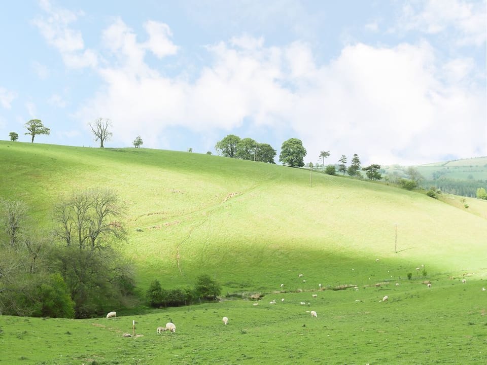 Rolling Hills