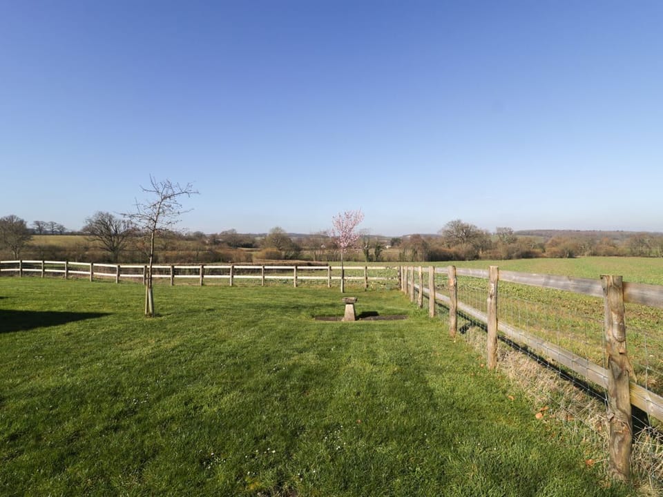Field View