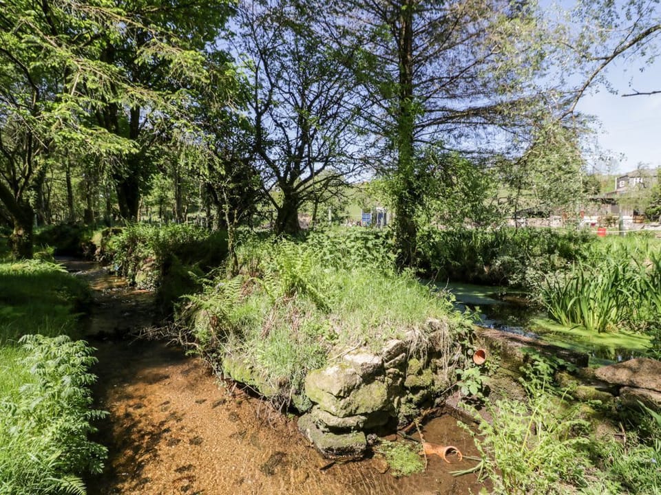 Little Trespettigue