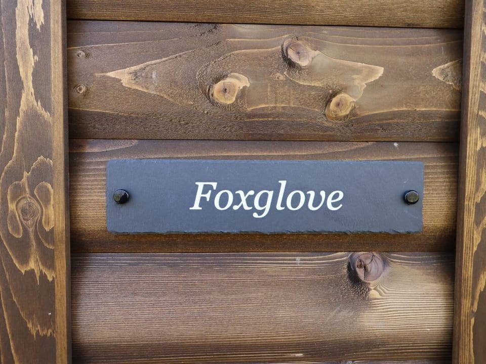 Foxglove