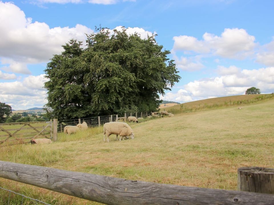 Meadow Barn