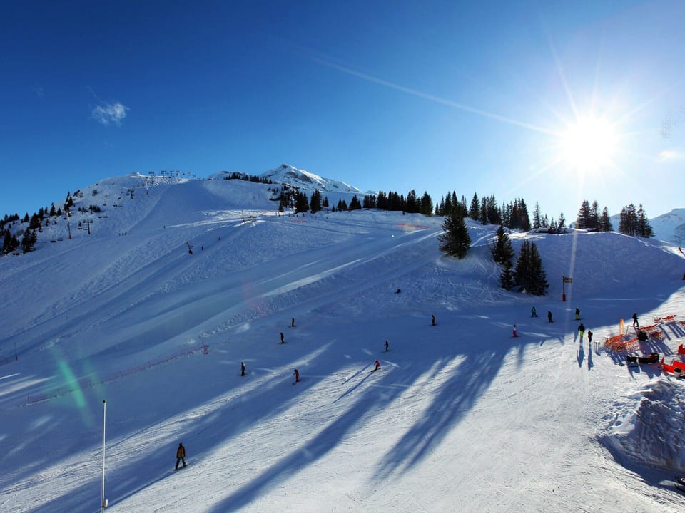 Snow and ski sports