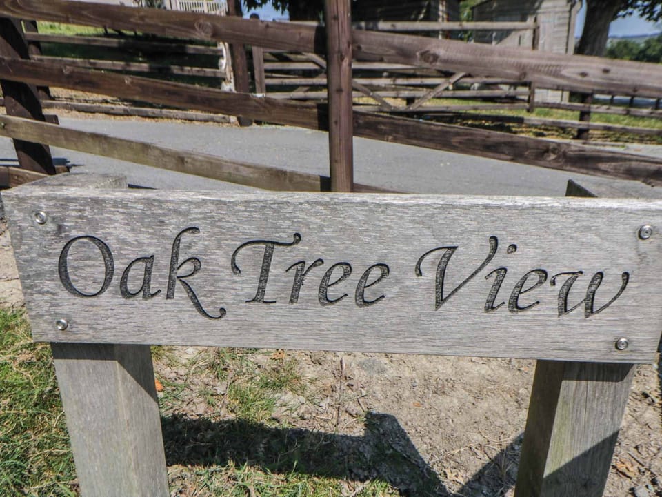 Oak Tree View