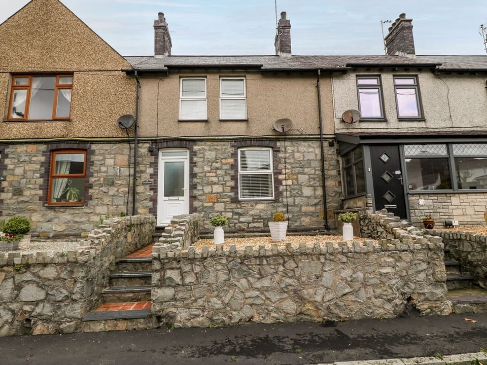 Bythynnod Newydd