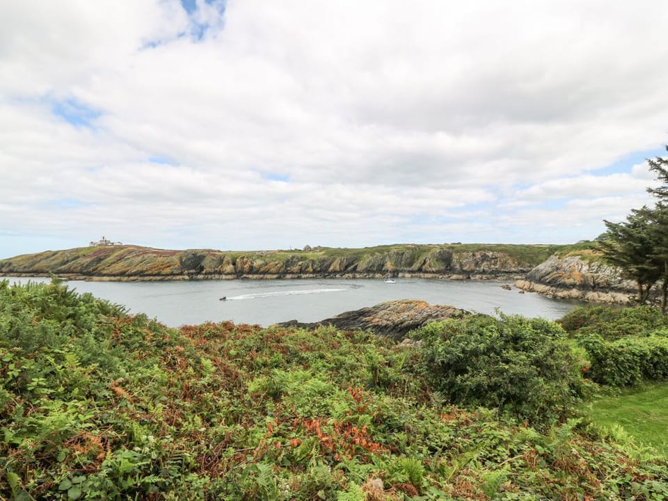 The Headland