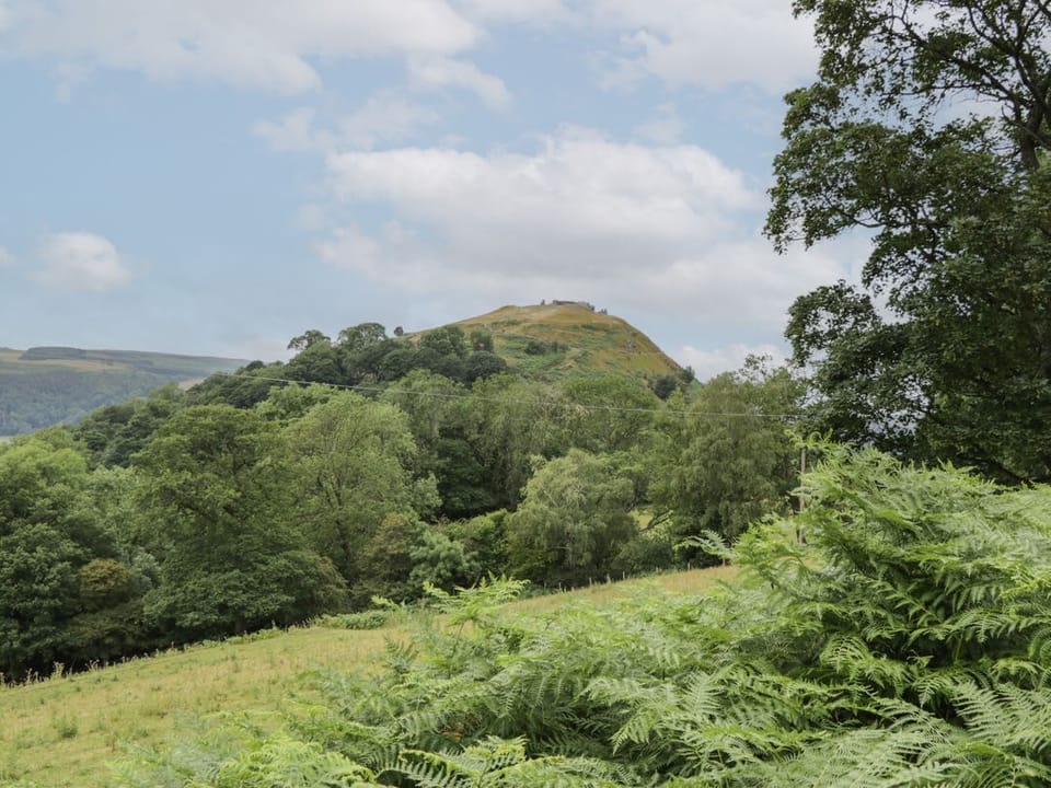 Tan Y Castell Shepherds Hut
