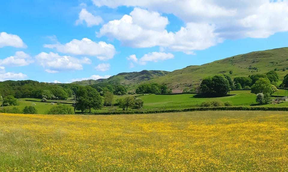 Ling Fell Cottage
