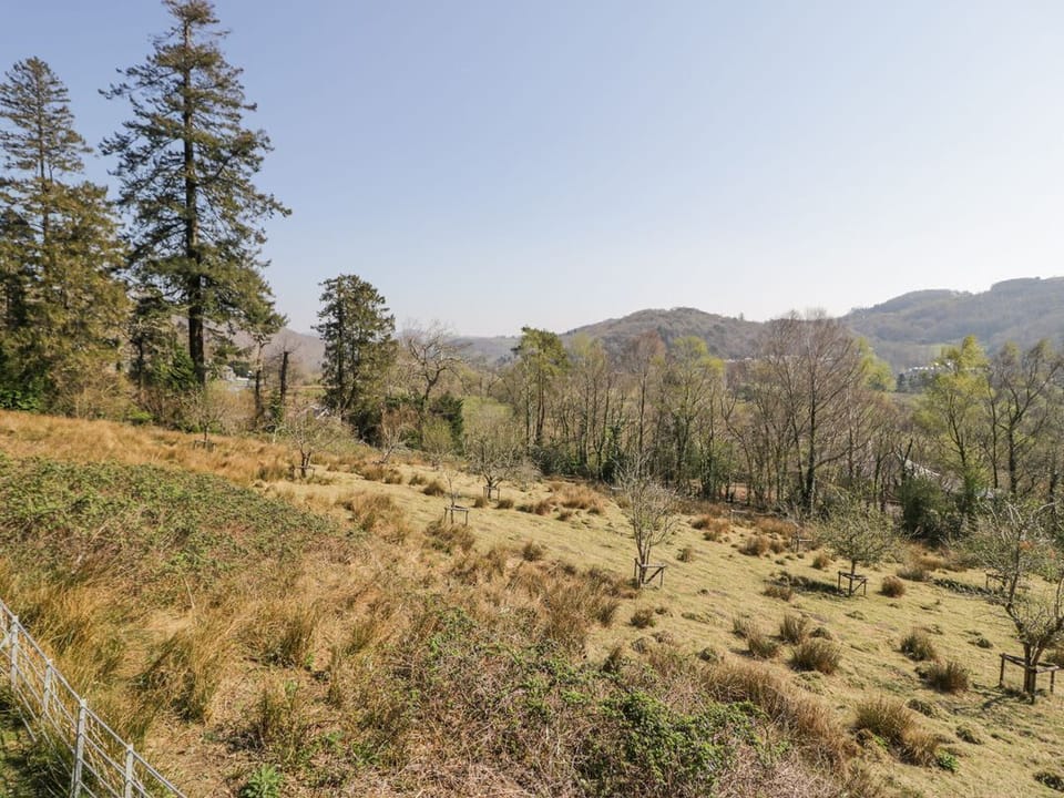 Bwthyn y Coediwr (The Woodcutters Cottage)