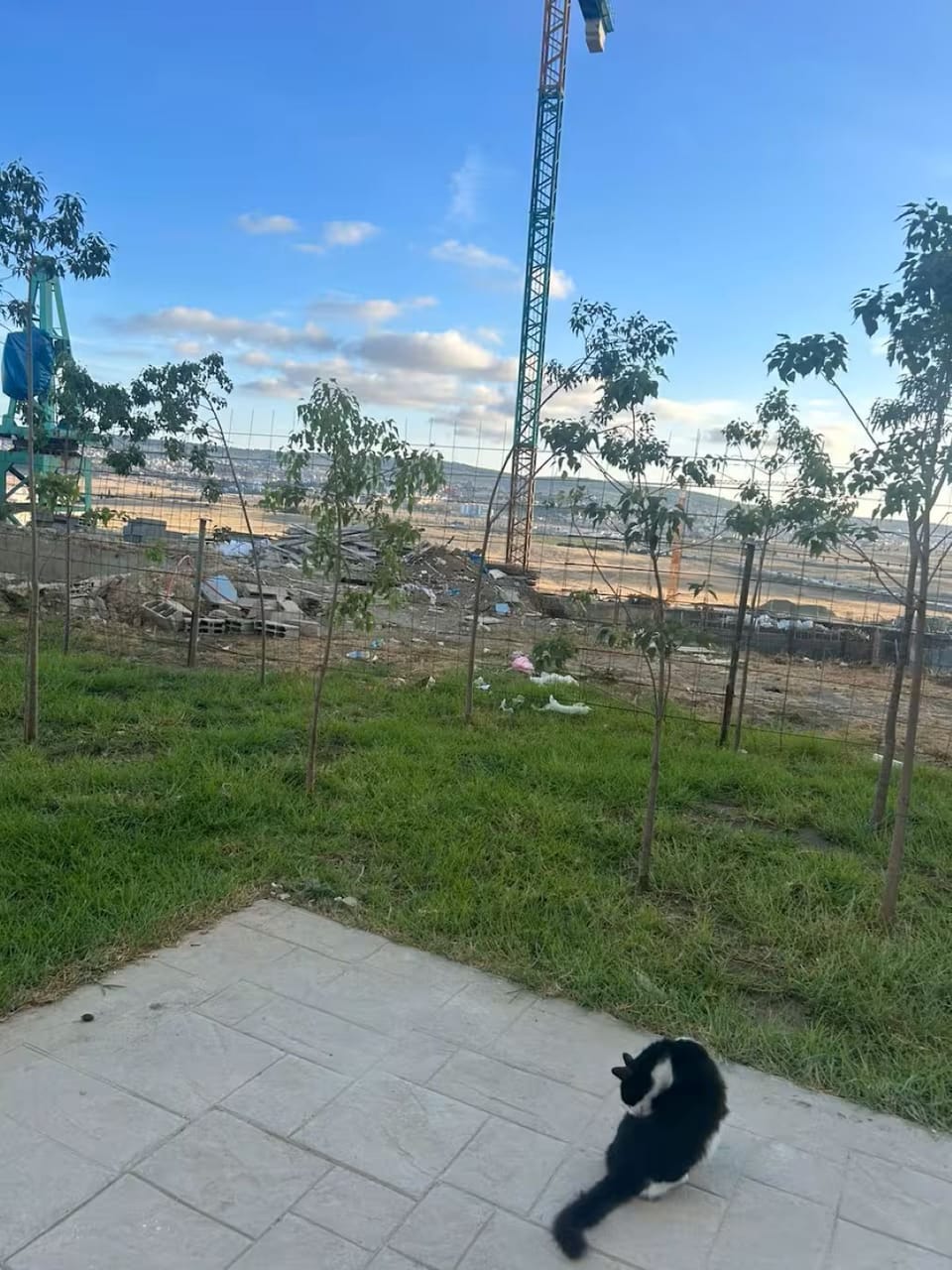 Property grounds