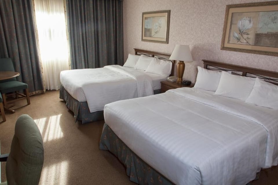Relax together in a spacious double-queen room with bright linens.